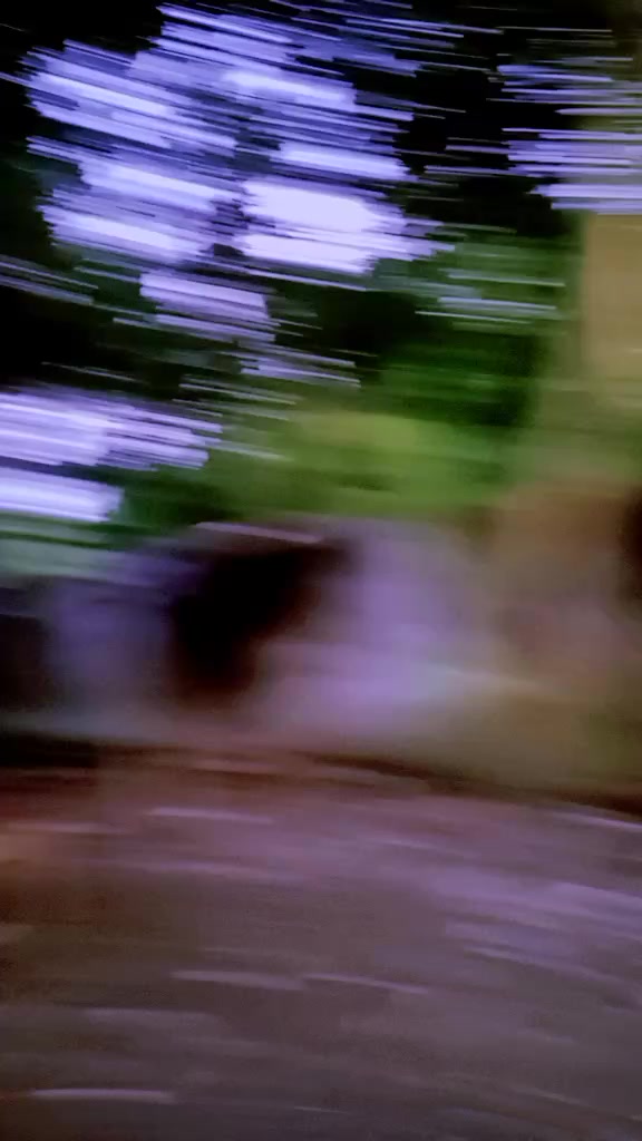 @🦋🌺প্রজাপতি🌺🦋