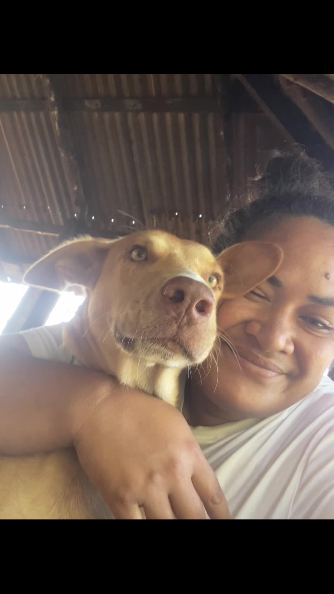 @Independent soul😎🇼🇸