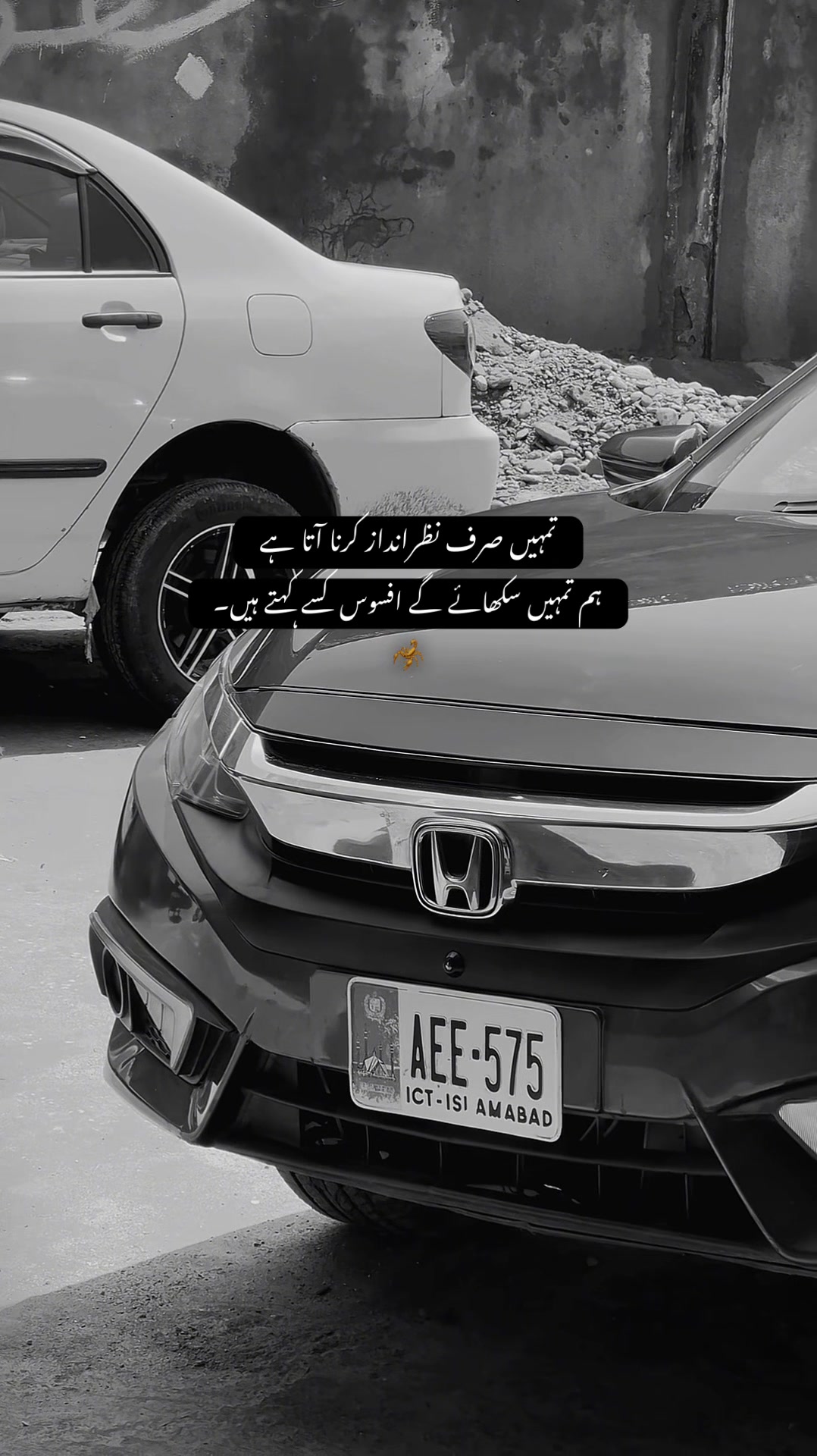 @• 𝐒𝐇𝐀𝐌 ✦
