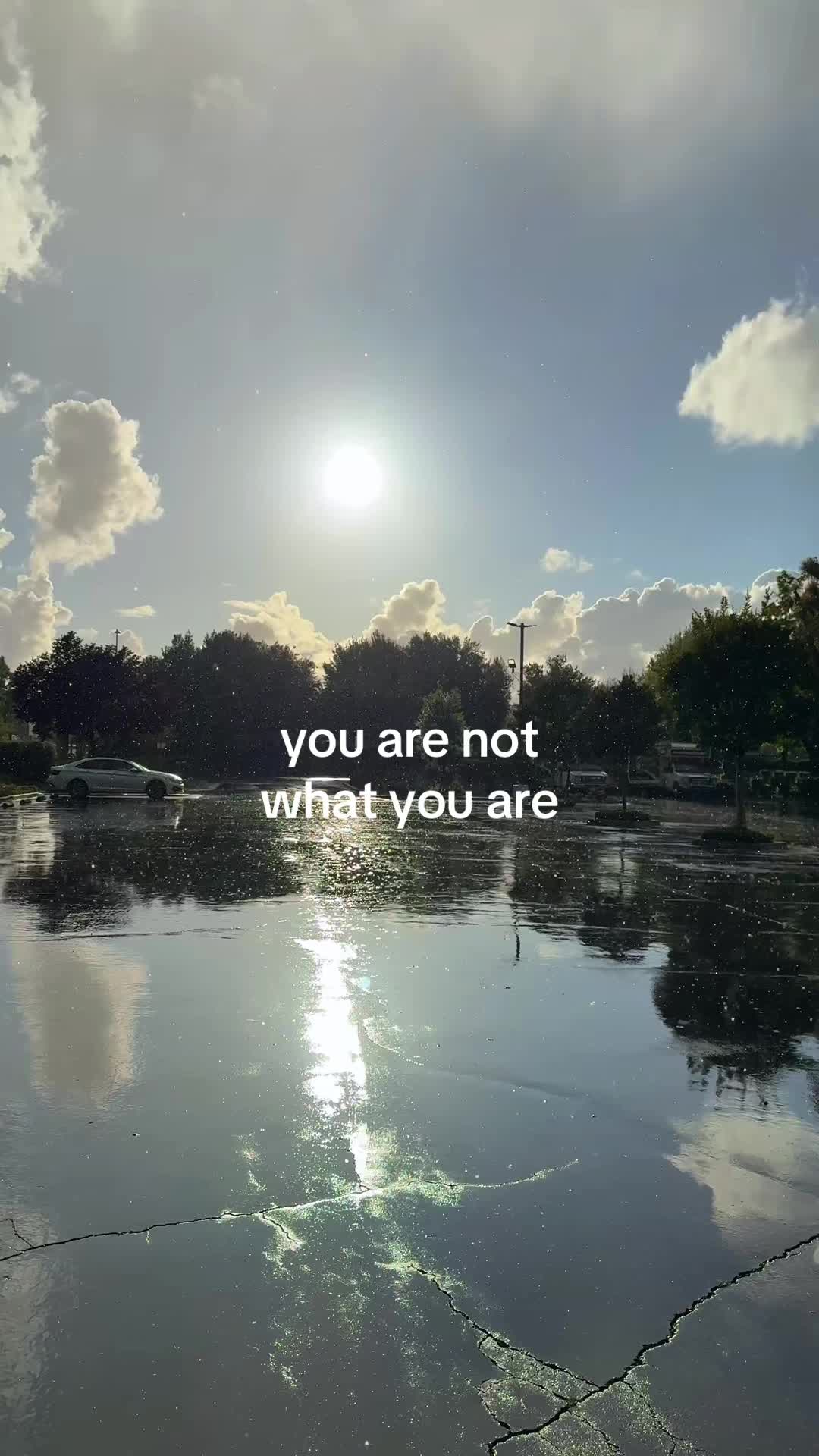 @soulreacher