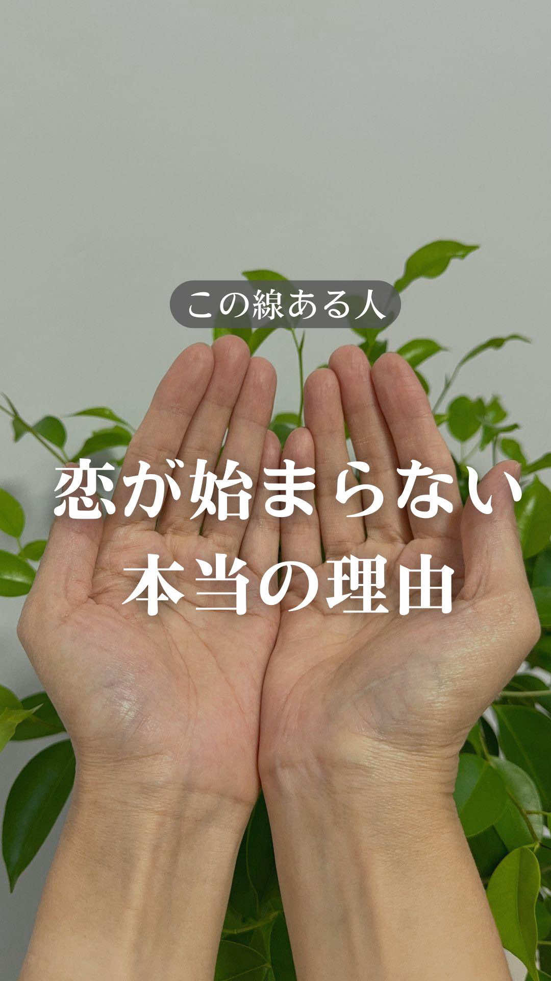 @shizue_tesou