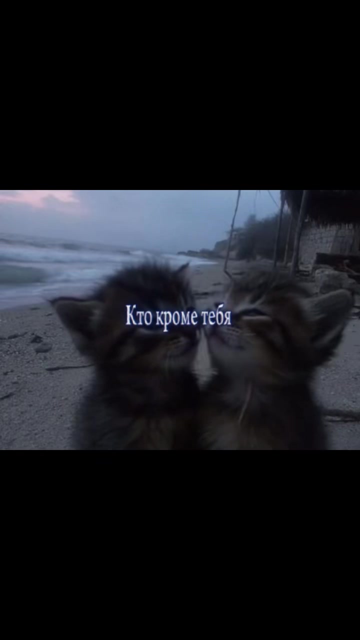@temo4kakrasivimalchik