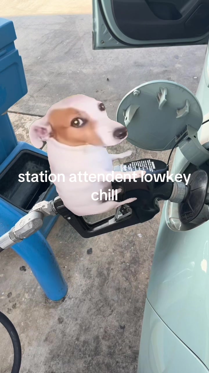 @little miss engineer