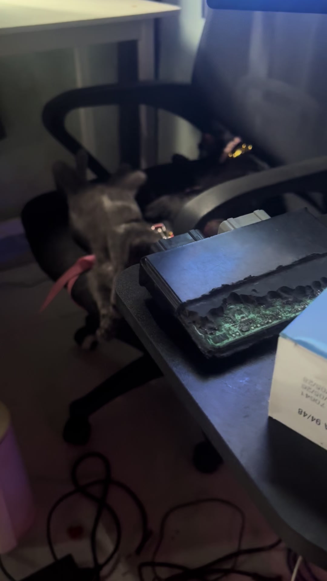 @AlexDev-TH