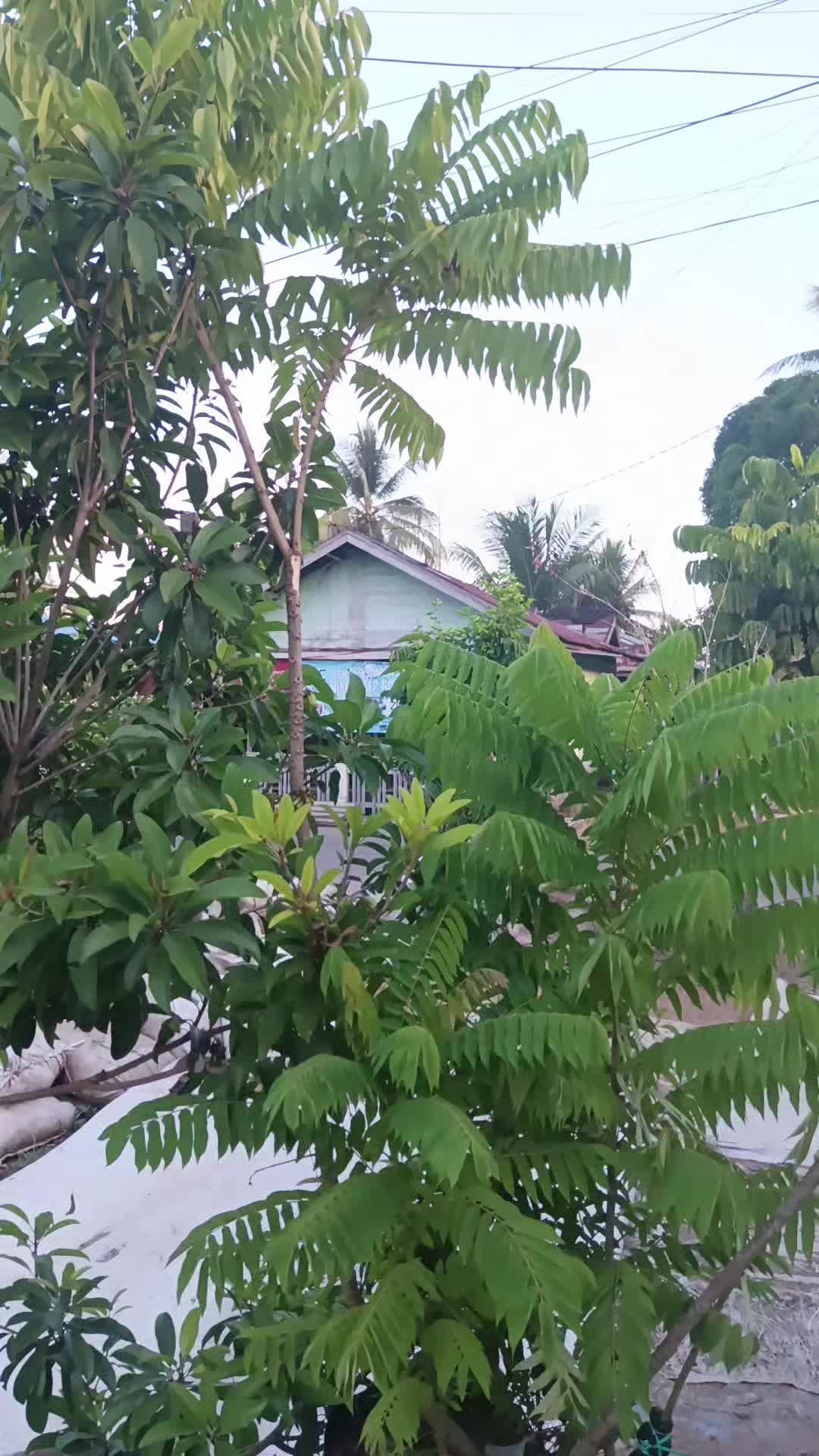 @Saipul Ipul
