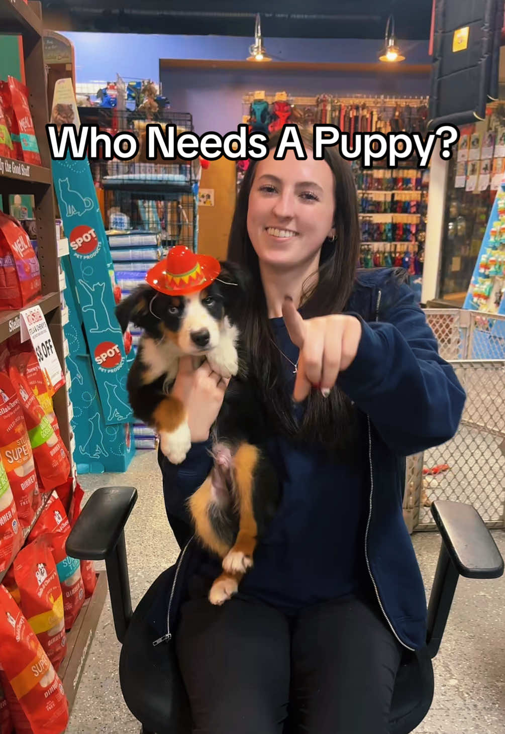 @All Pets Club