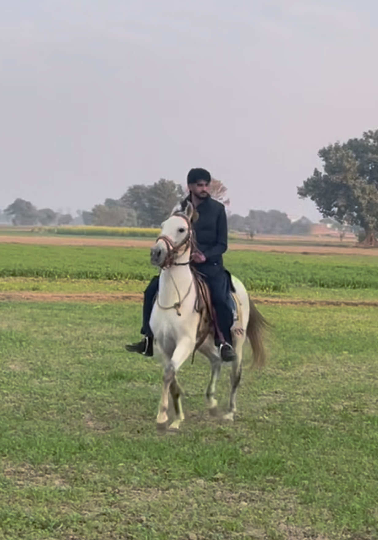 @Dullah Gujjar