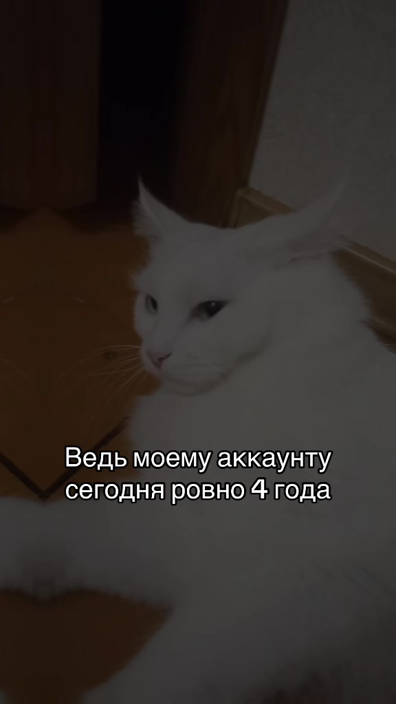 @💗🐰Ласка🐰💗