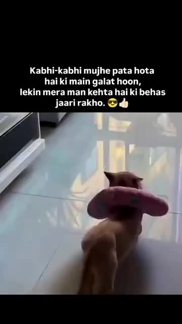 @Best Seen ๐