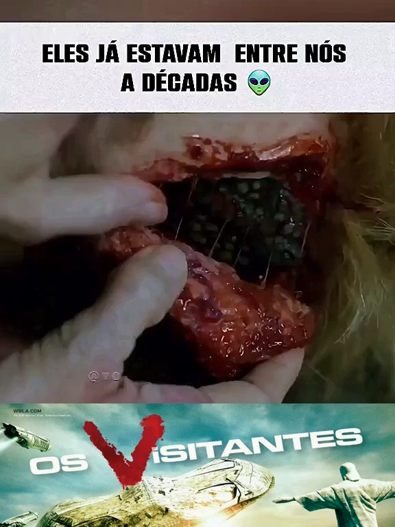 @TEORIzando