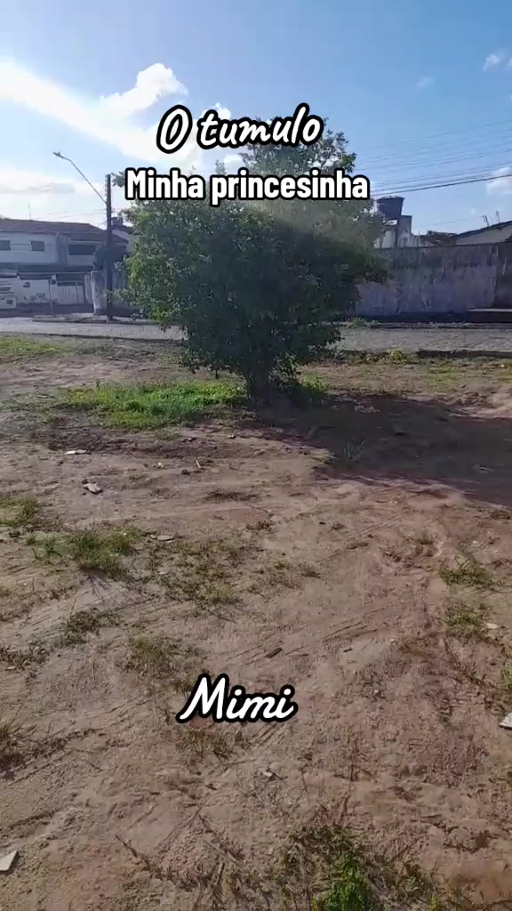 @Sérgio Loncke