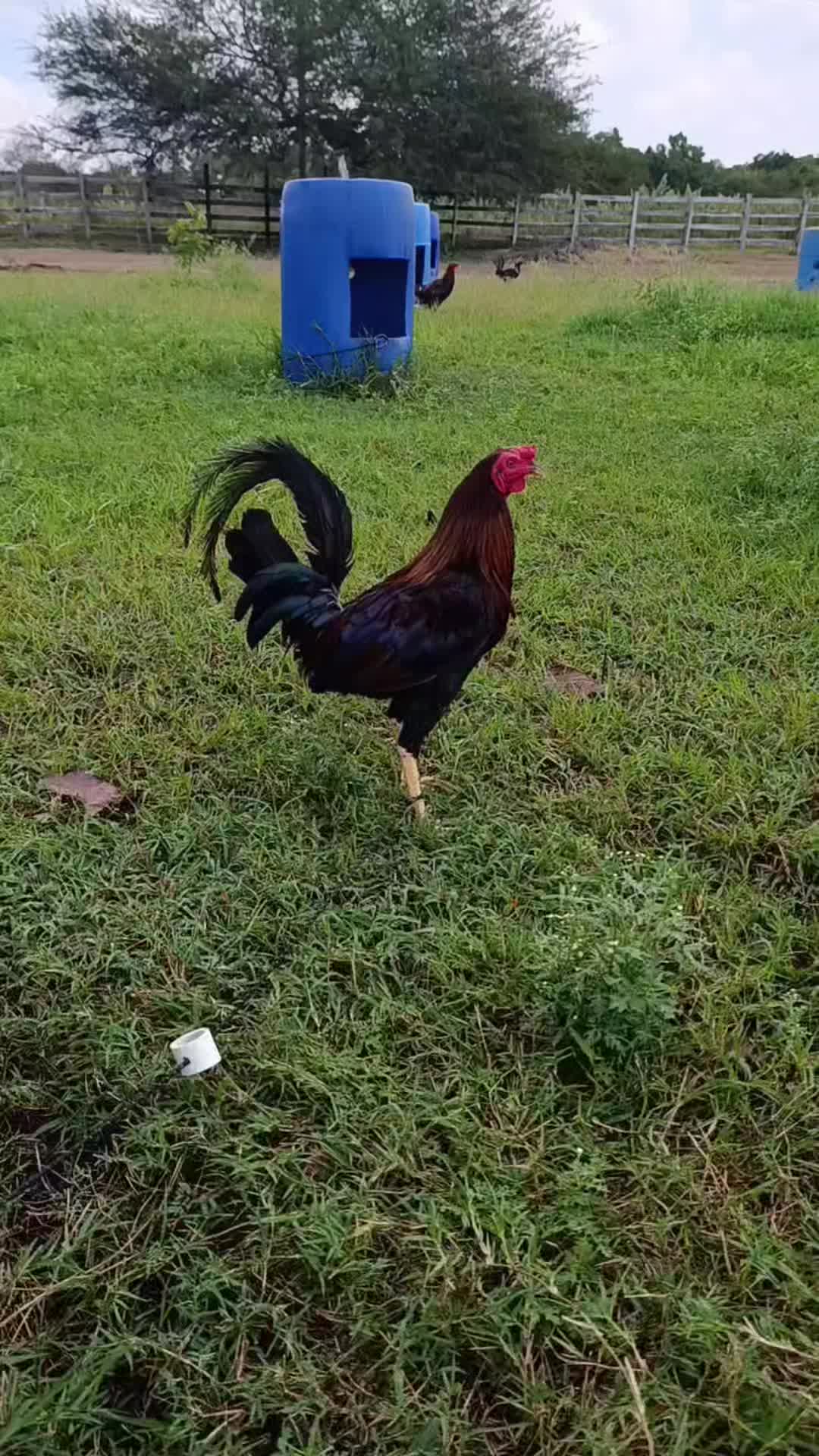 @Toño Moreno