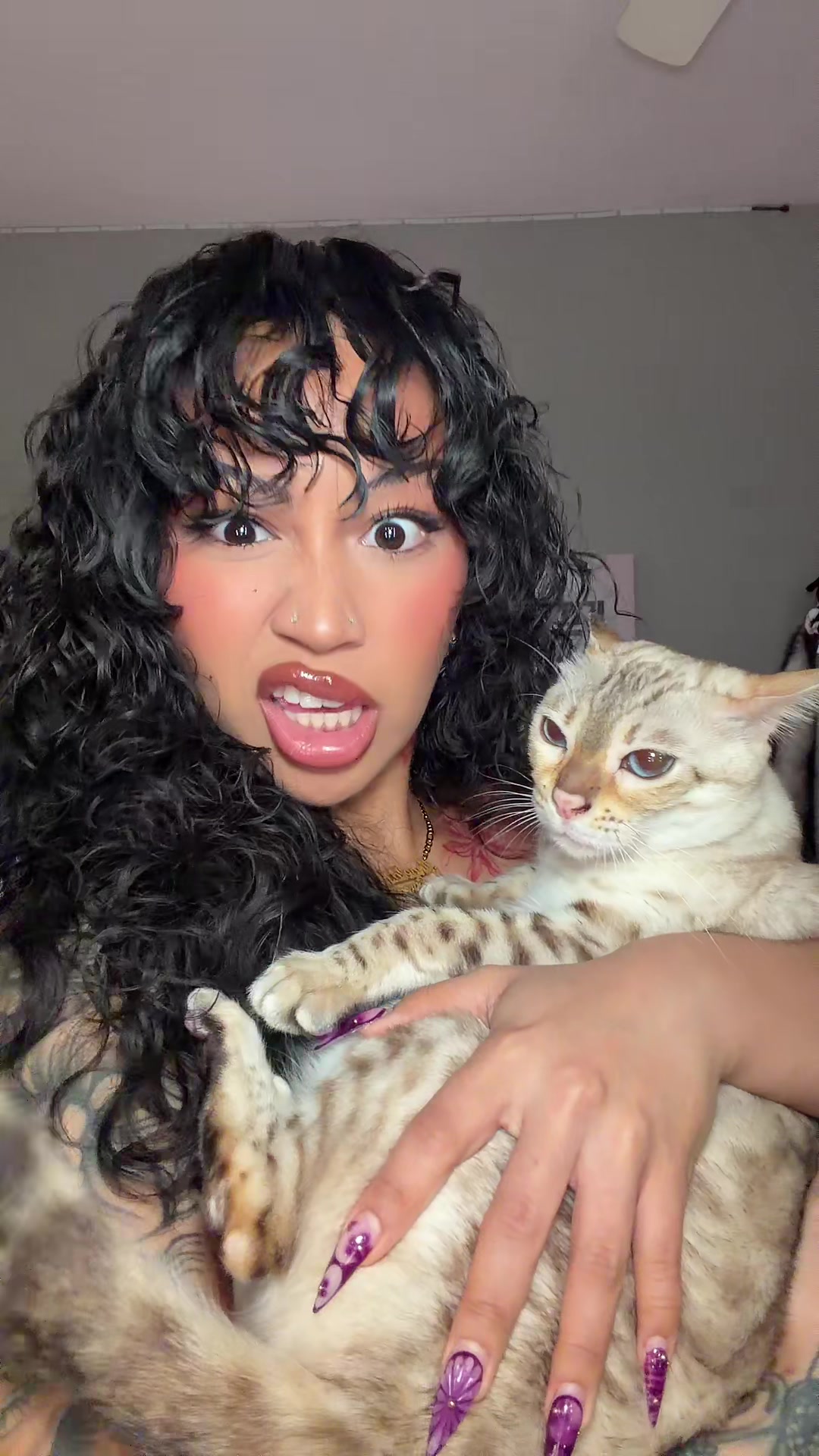 @Mirajane The Bengal🐾