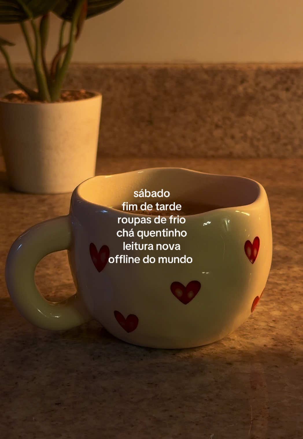 @Carol Branco ✨