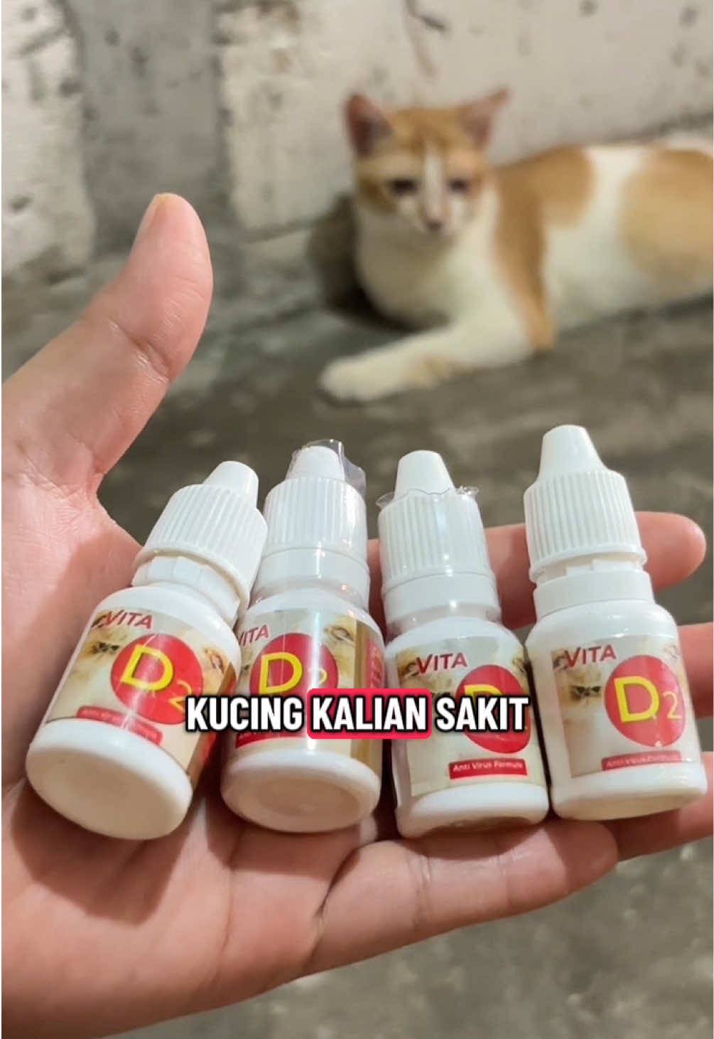 @BUMI ANABUL😺