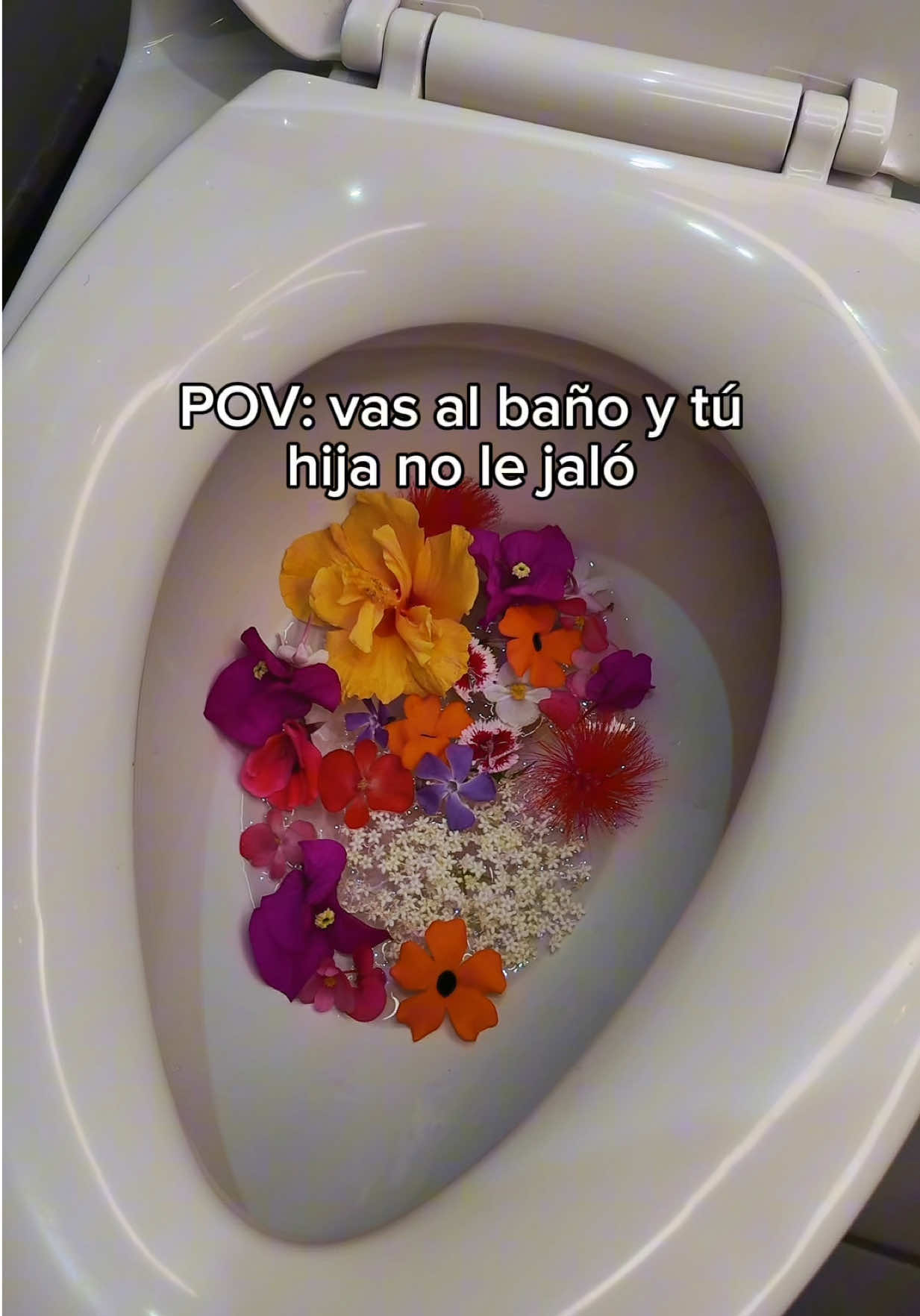 @Alebanana