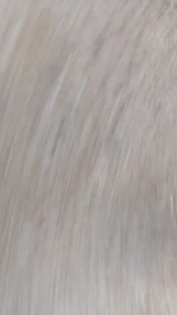 @Ŧ_Ř_&Aring;_Ĵ_Ķ_&Oslash;_V_Ş_Ķ_Ĩ🫡