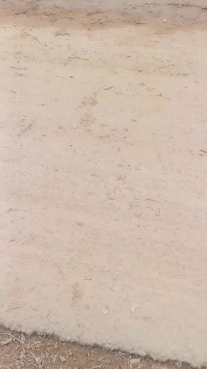 @chandhana mahindha kumara