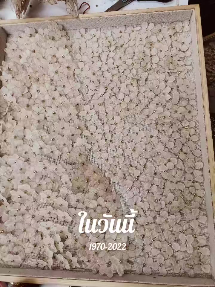 @Khin Shwe❤️💚😘🧘🍒