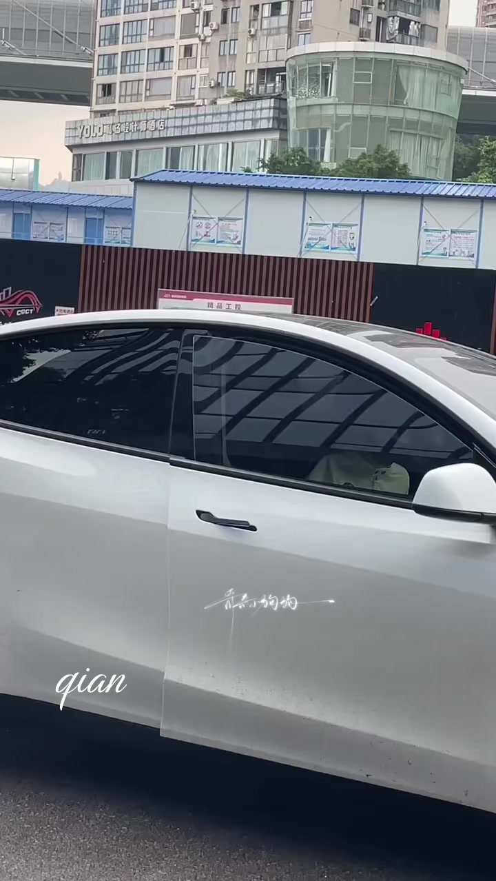 @Anna_奇文