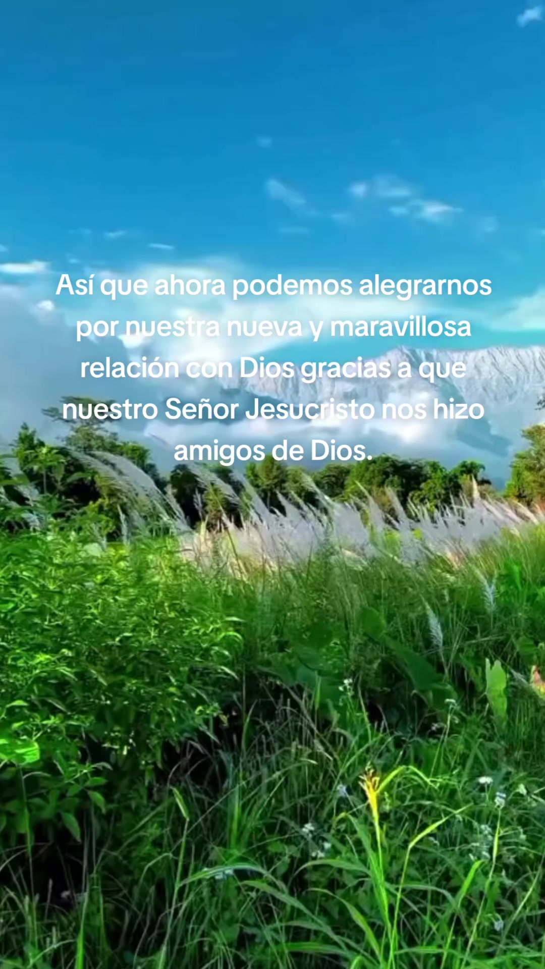 @Elfego Lopez