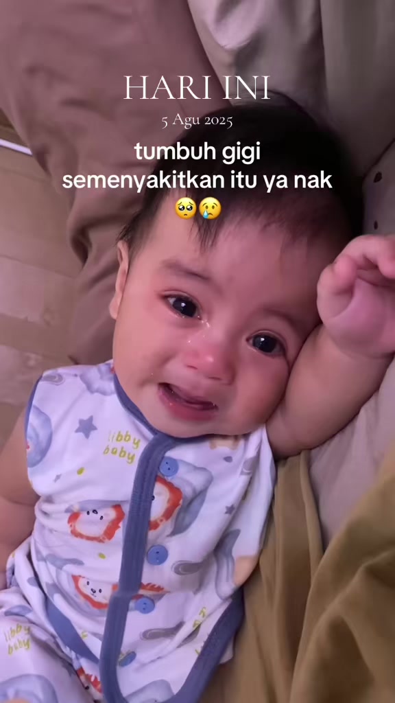 @seputarbumil