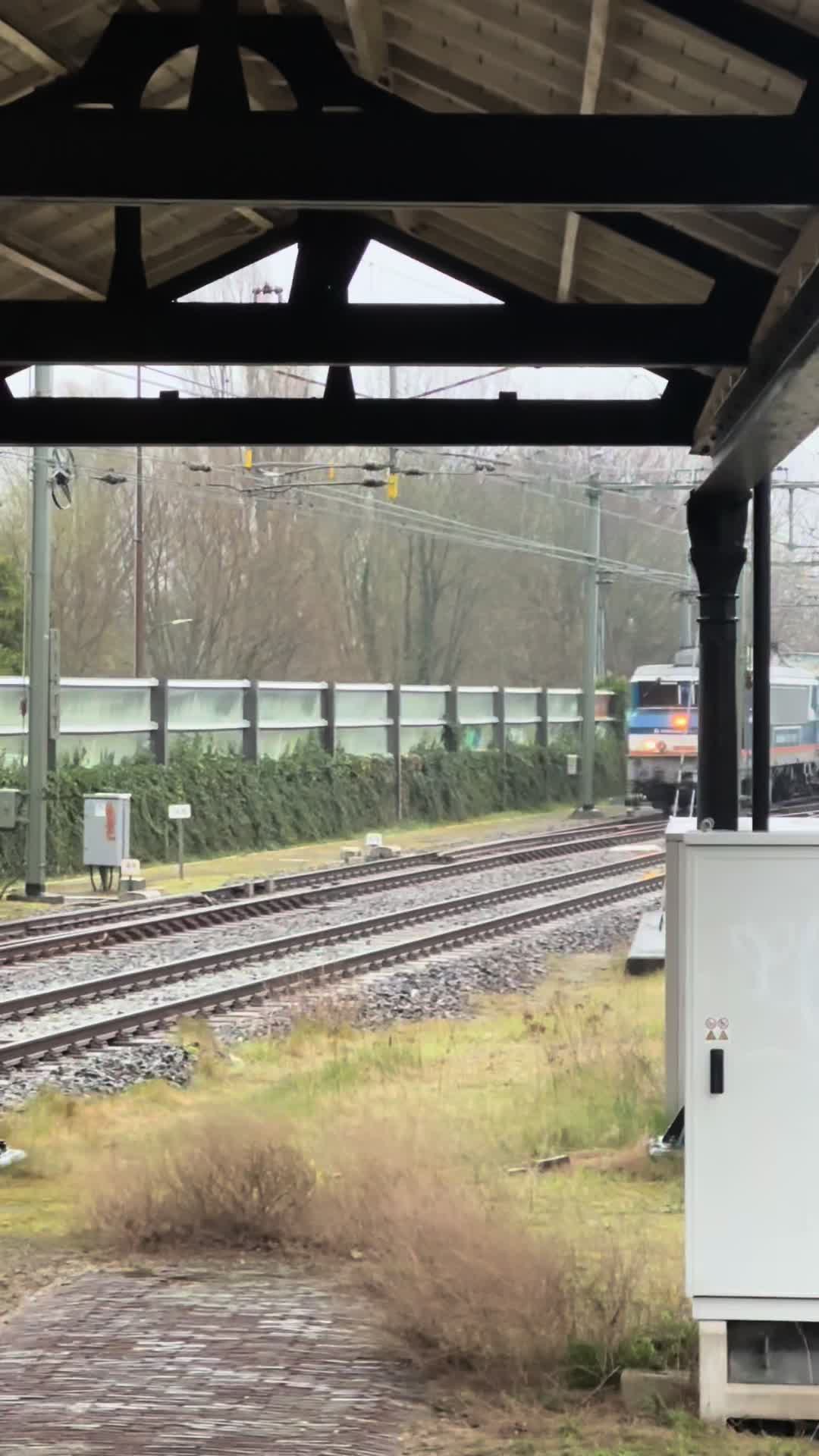 @Haarlemse treinmeneer🚂🫰