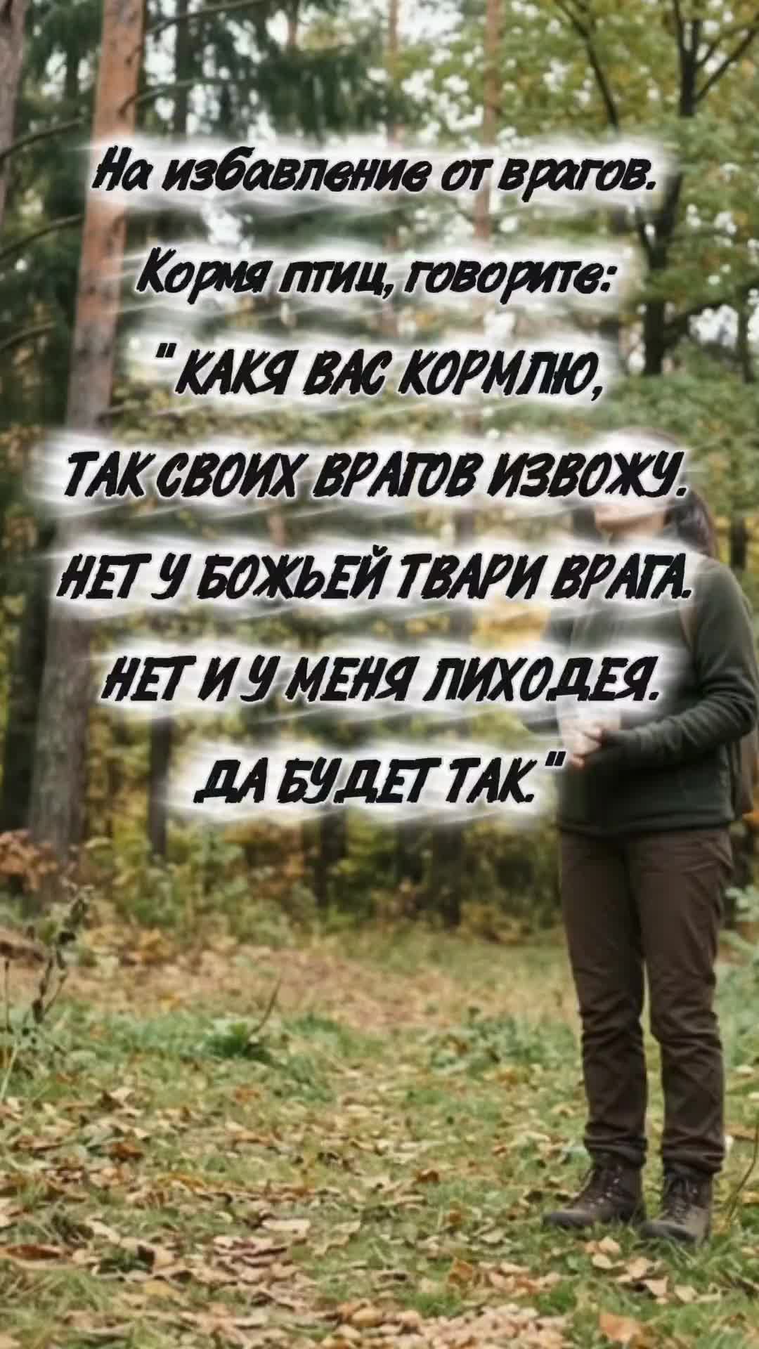 @Агния Новикова🔆