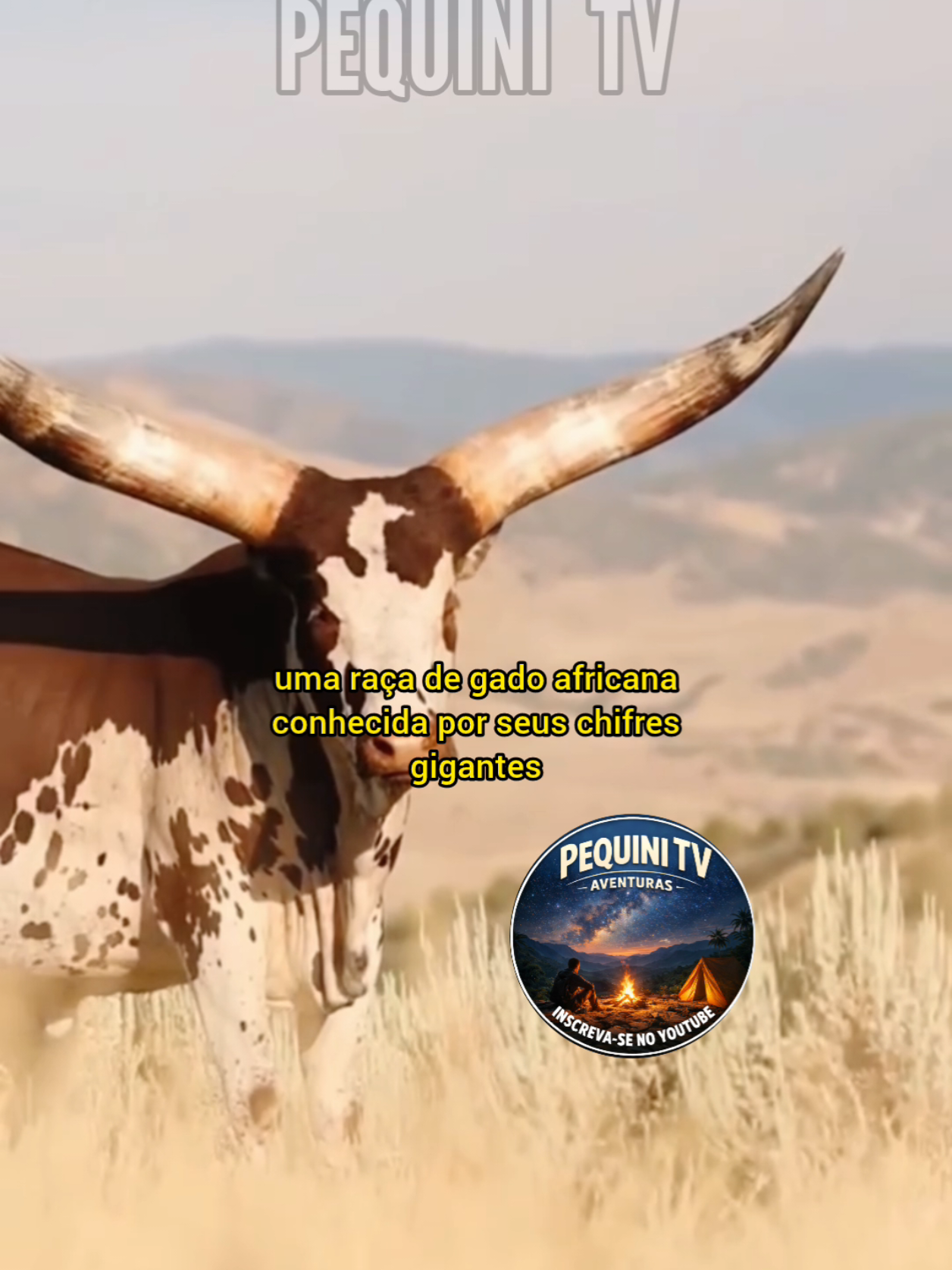 @PEQUINI TV