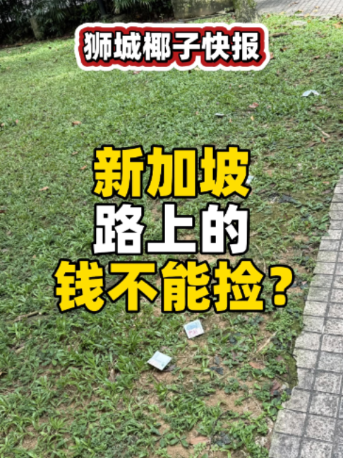 @新加坡狮城椰子