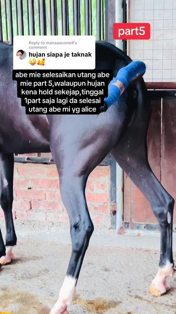 @Subdepo Arabian Park