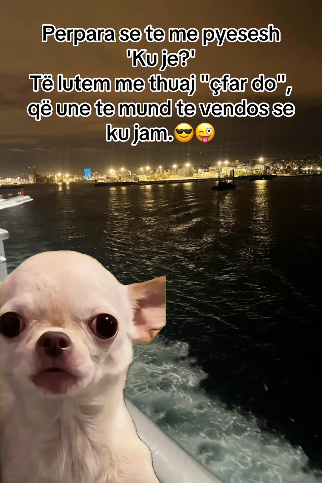 @Shtet me vete 🎭