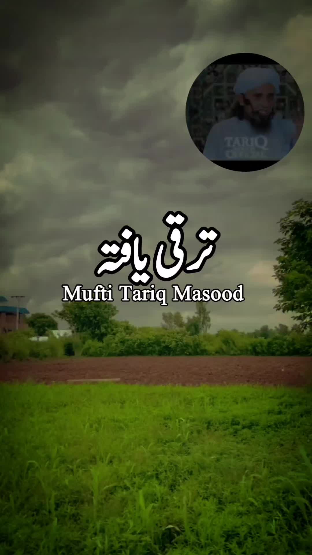 @zulfi khan