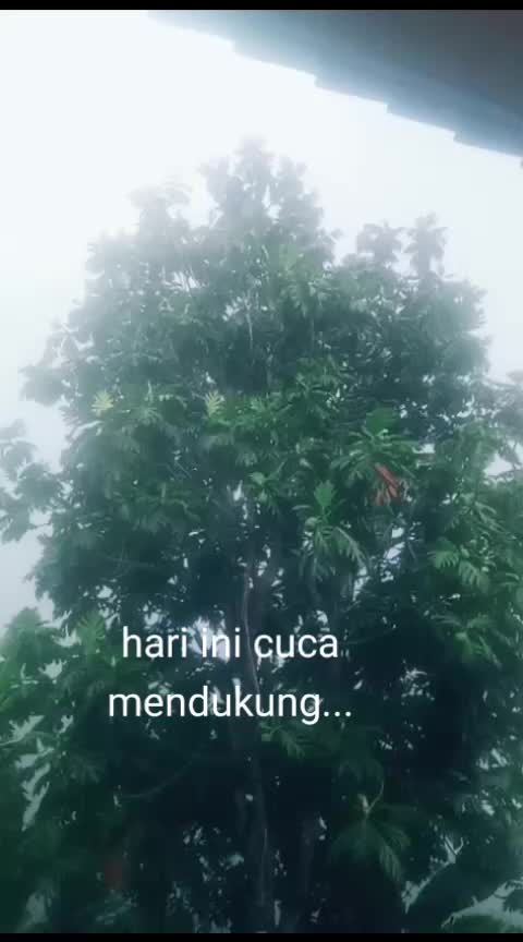 @teh dewi