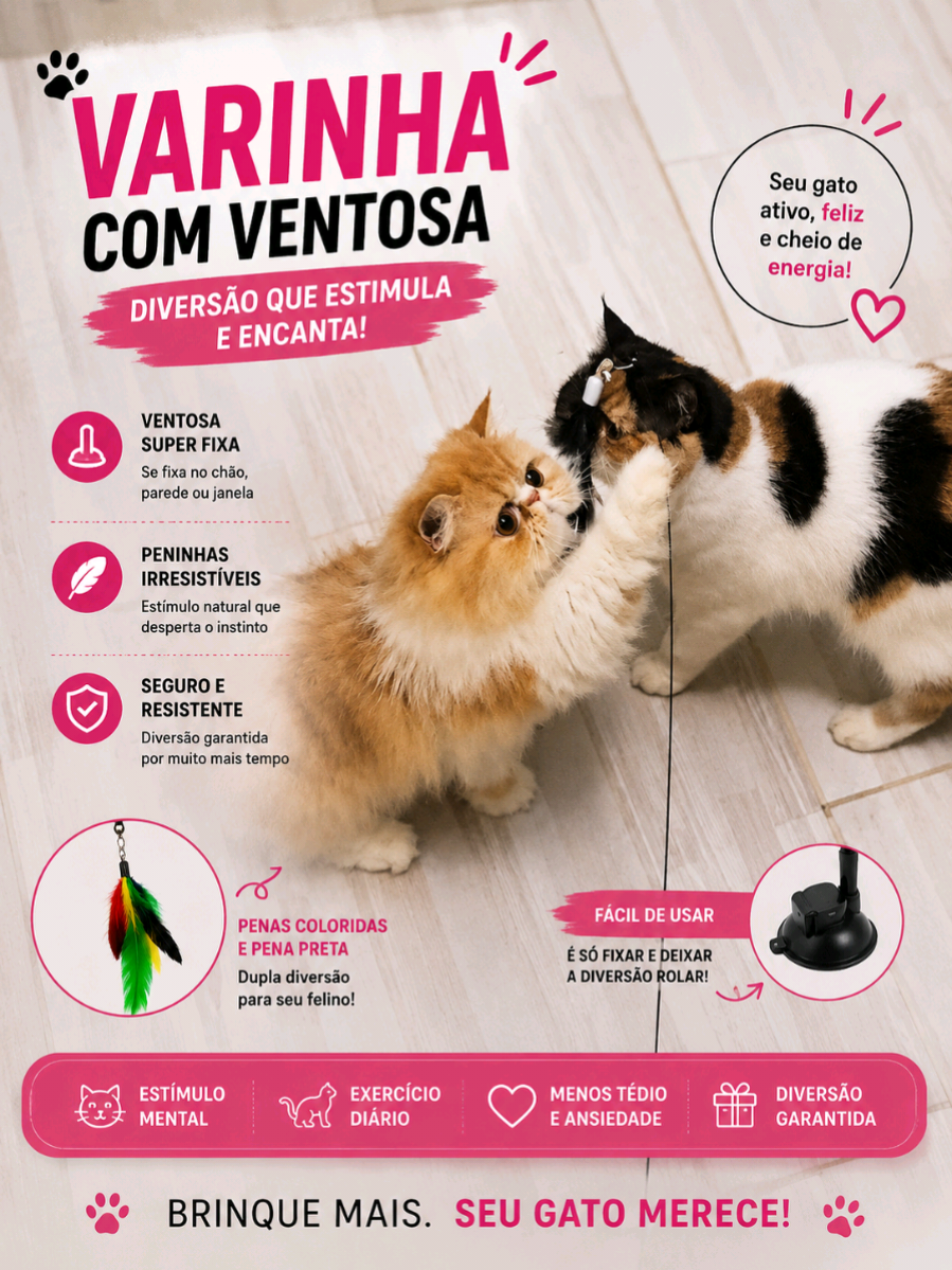 @Gatos Persas de Luxo
