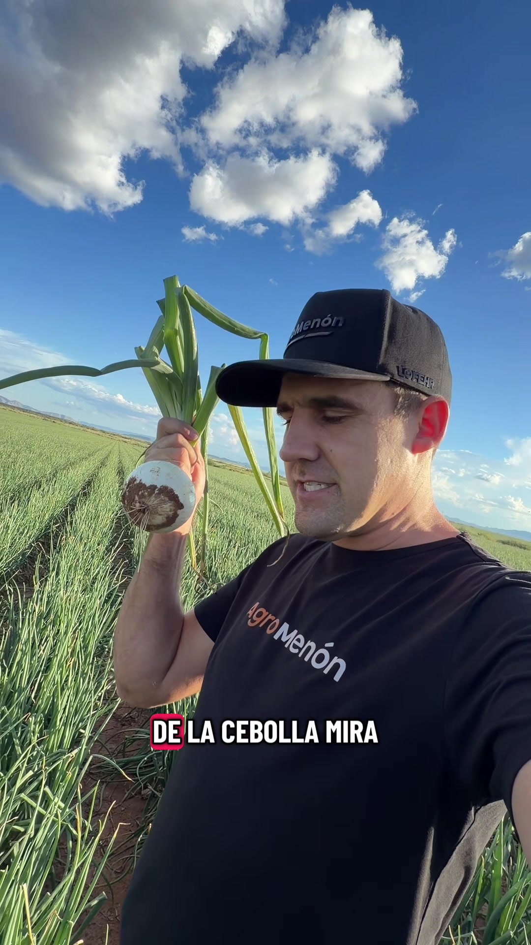 @AgroMenon