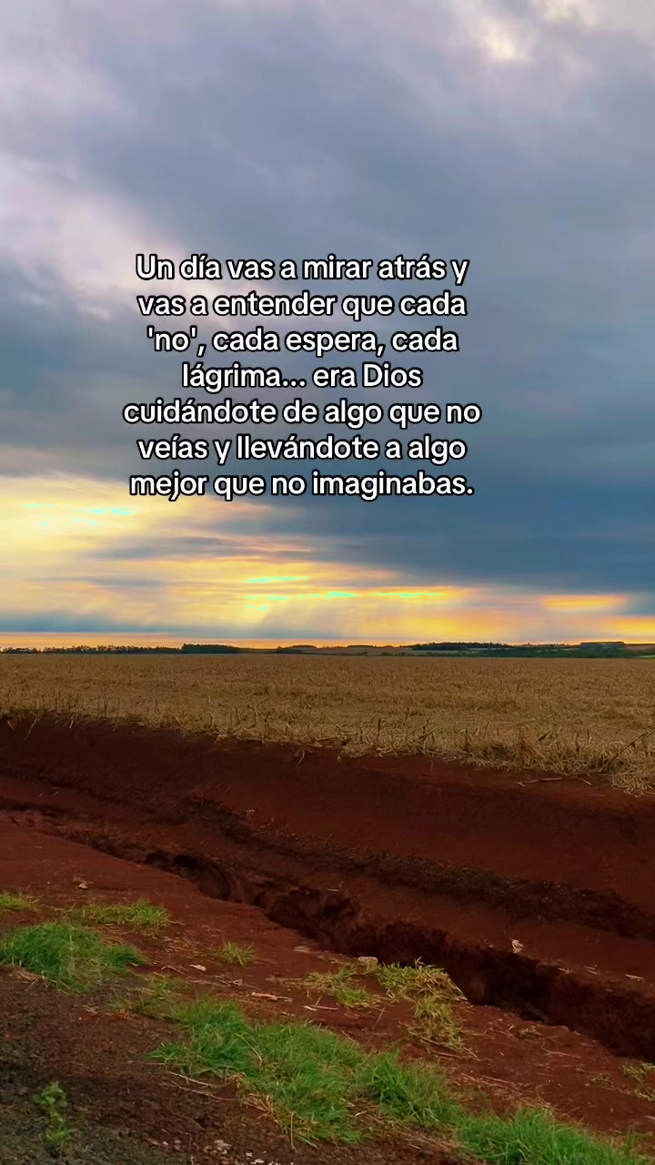 @Javier Rojas Jim&eacute;nez