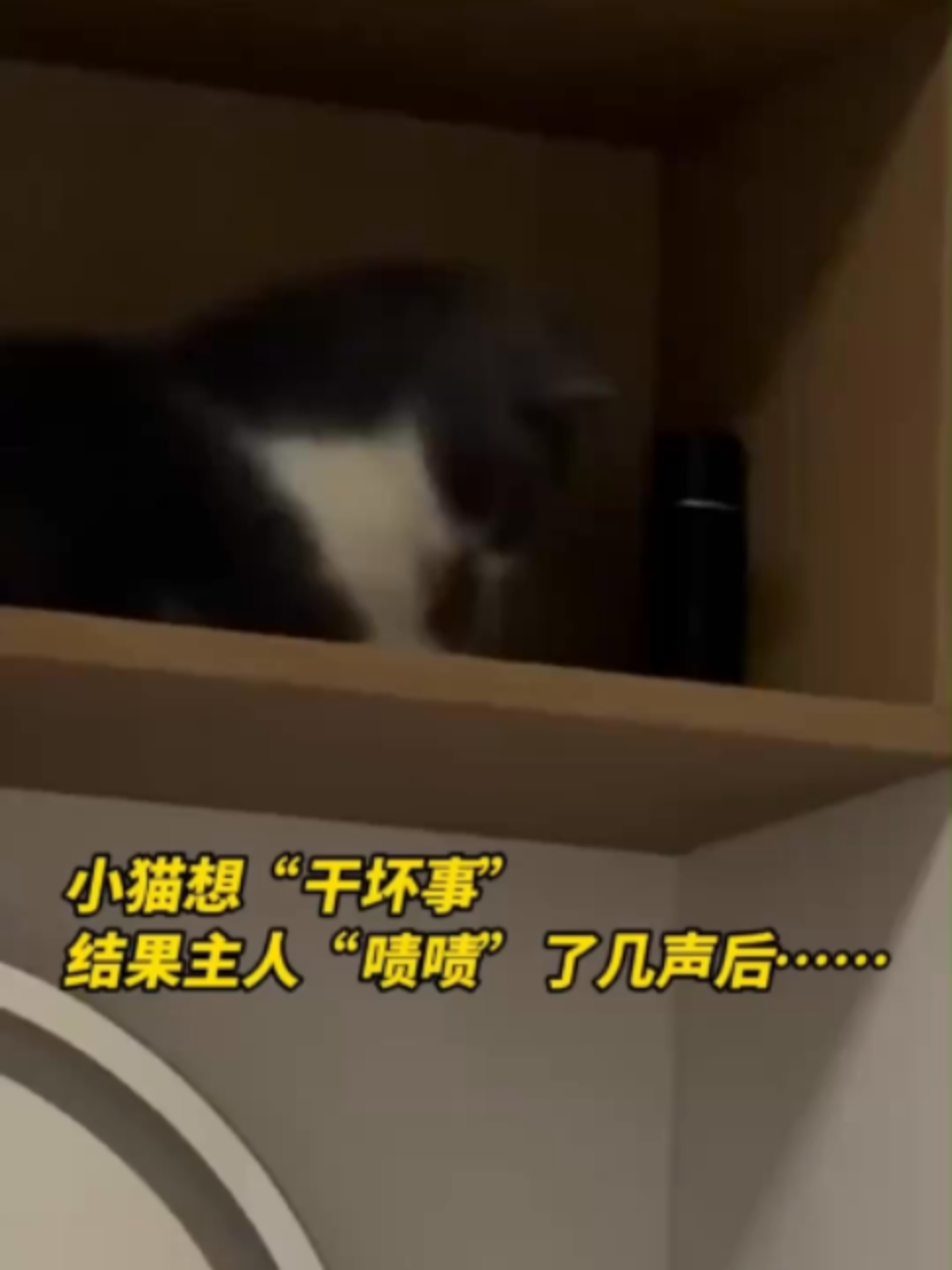 @中国蓝国际