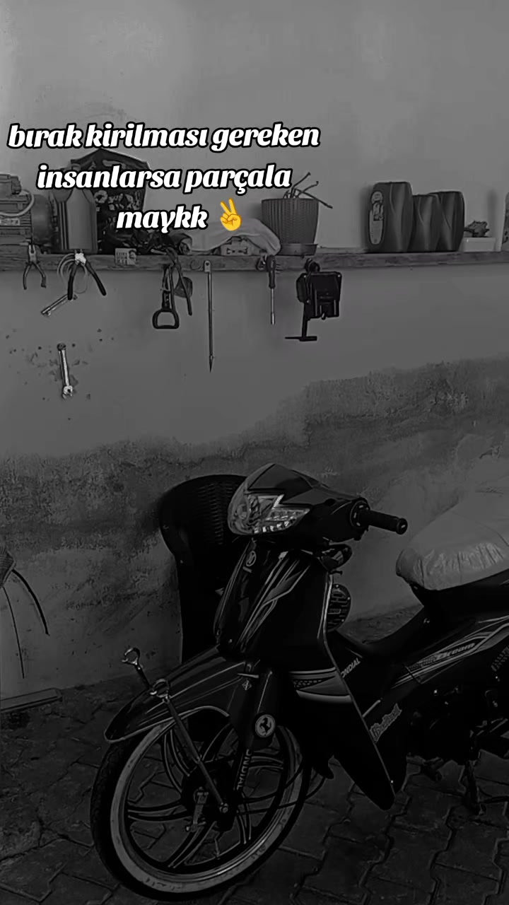 @𝒦𝒶𝓂𝒾𝓁 🗽