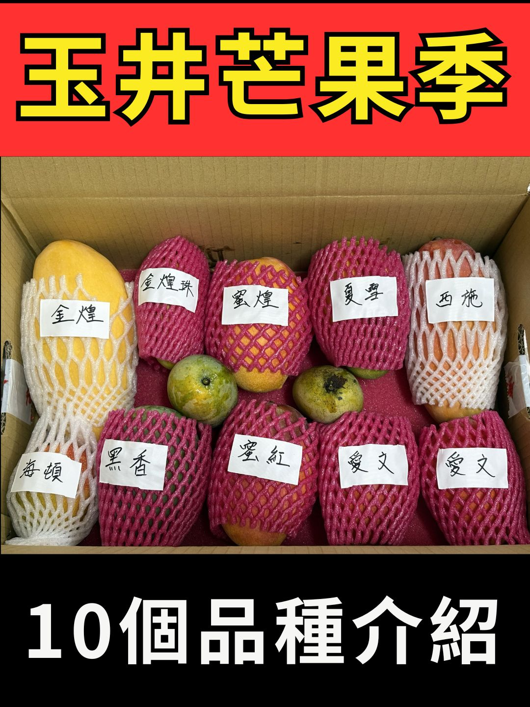 @招財魚水族精品