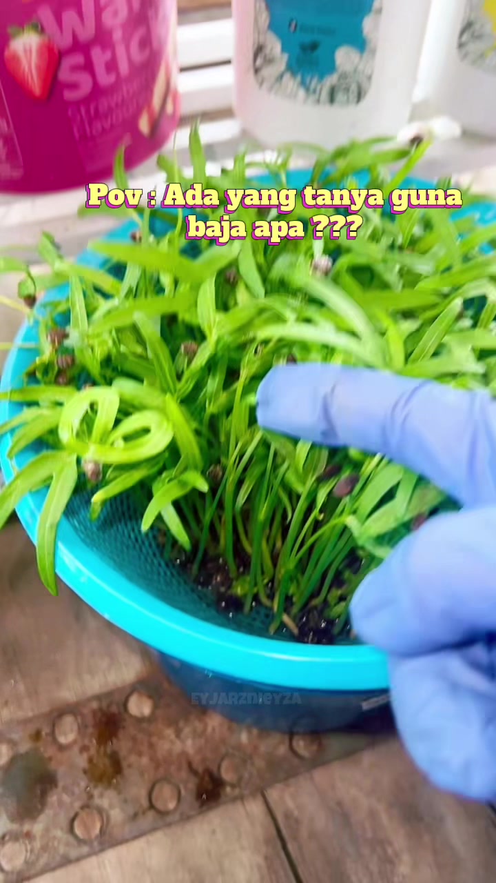 @แดฦณแแฉ ๐