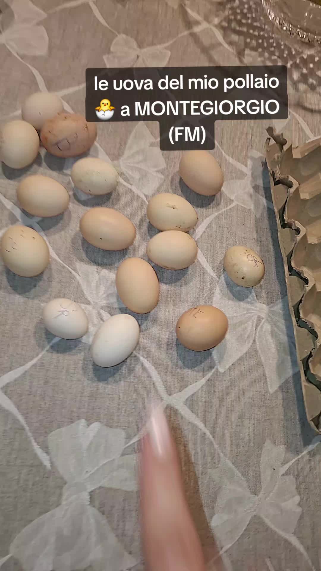 @Annamaria