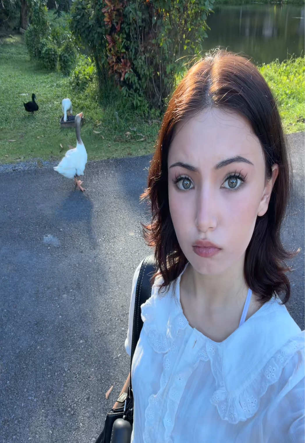 @векши