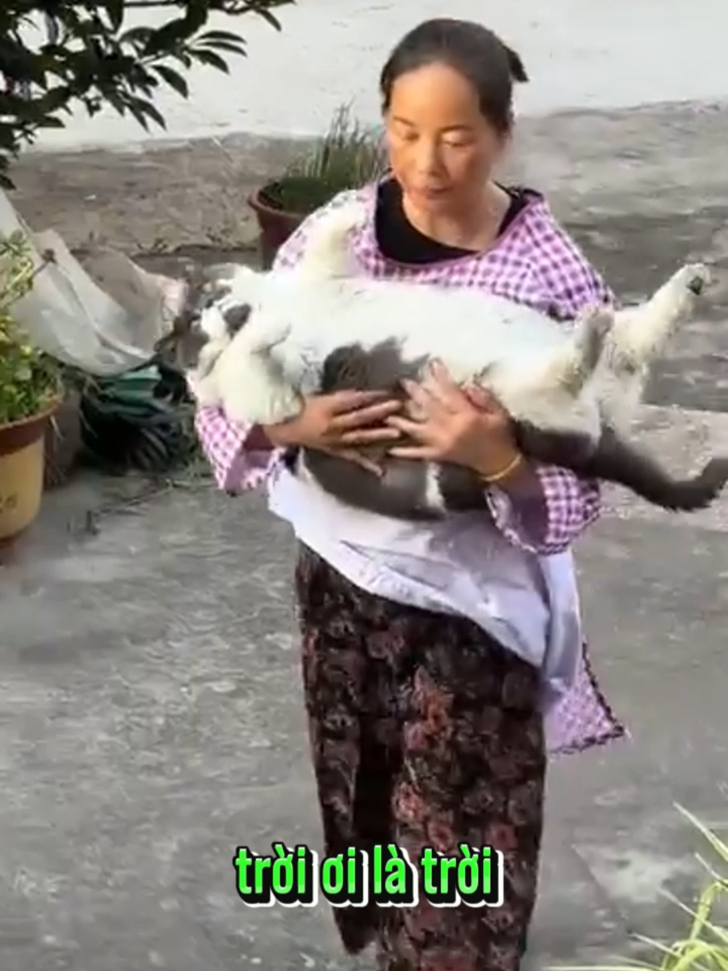 @Bin hài hước