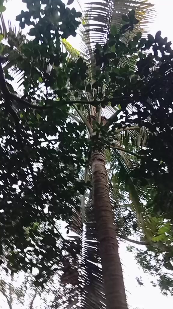 @ঘুমন্ত শহর