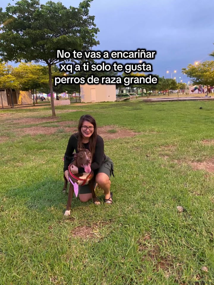 @johi_farez