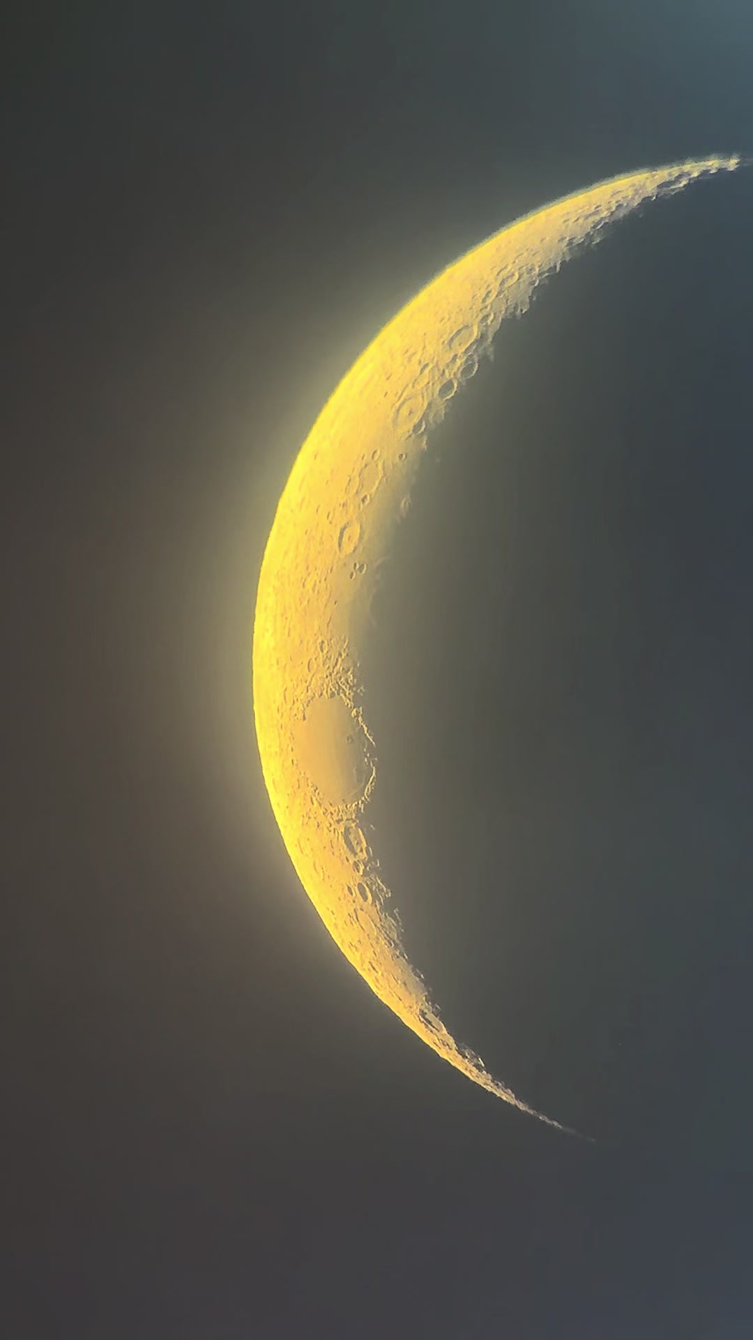 @moontaless