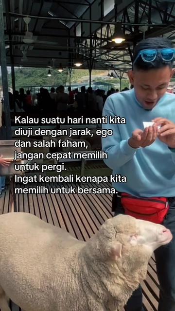 @along_mr.purple80