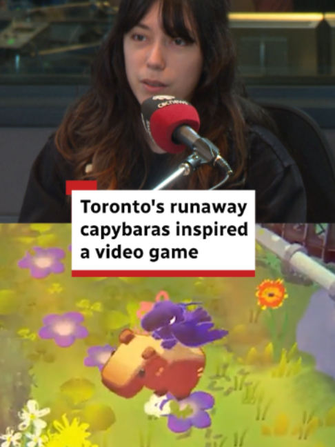 @CBC Toronto
