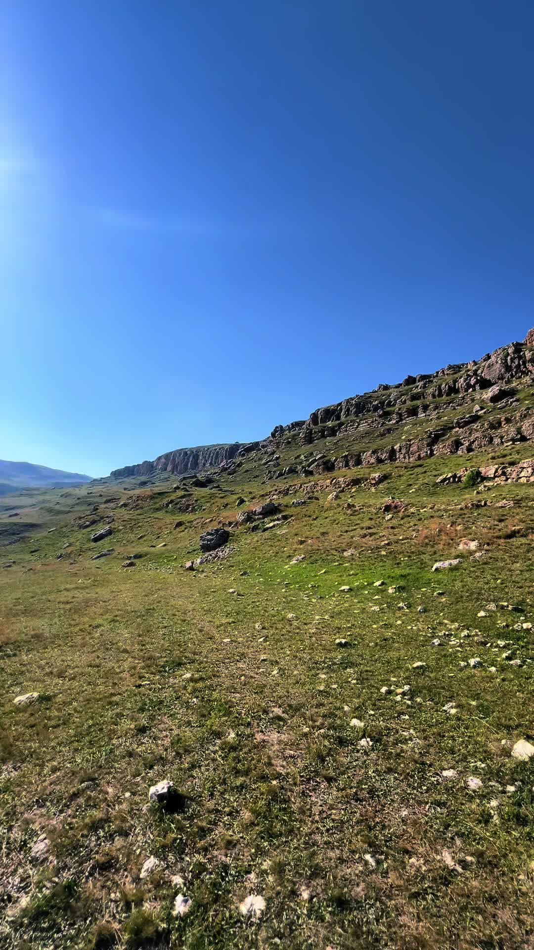 @DİMA ✅️